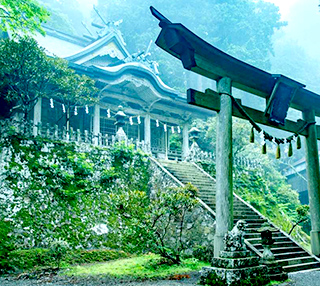 【ハピ旅】神秘の最強パワースポット聖地・熊野三山の奥の宮！世界遺産・神の棲む社「玉置神社」拝観と日本一鉄線吊橋「谷瀬の吊橋」を体験