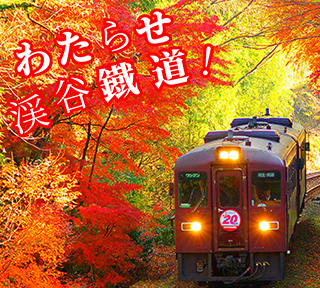 圧巻の紅葉渓谷を走る『わたらせ渓谷鐵道』＆絶品上州牛BBQ 『スミテラス　森のヴィレッジ水沼』！秋の味覚と500万球の光が彩る『あしかがフラワーパーク』イルミネーション