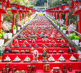 春を先取り！圧巻1,500体のかつうらビッグひな祭り × 農園食堂andカフェ膳所の体にやさしい古民家ランチ × 感動の海の世界・鴨川シーワールド