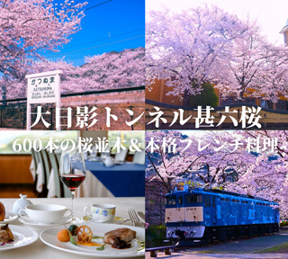 7年ぶりに再開の鉄道遺産「大日影トンネル」と約600本の桜並木「甚六桜」＆ワインと本格フレンチレストラン「鳥居平」