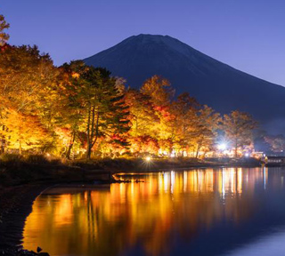 秋の味覚の最高峰★秋の味覚王者松茸料理と赤い絨毯を歩く!山中湖秋の風物詩「夕焼けの渚 紅葉まつり」ライトアップ&紅葉に包まれた秘境「鐘山の滝」