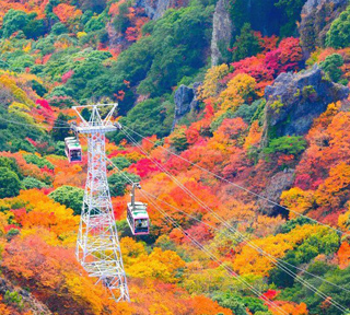 【ハピ旅】これぞ離島の紅葉大絶景！日本三大紅葉渓谷美！小豆島 寒霞渓の紅葉を眼下に感動の空中散歩とエンジェルロード（天使の散歩道）