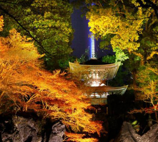 錦秋の彩りめぐり！3000本のもみじの競演「日吉大社・もみじ祭」と石山寺ライトアップ「あたら夜もみじ」