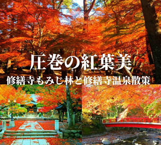 圧巻の紅葉美！修善寺もみじ林と富士山×紅葉の絶景空中散歩道「三島スカイウォーク」＆海鮮浜焼き食べ放題