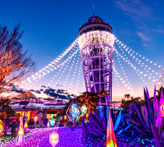 江の島～湘南の宝石～江の島を彩る光と色の祭典2025-2026＆鎌倉パークホテルで味わう絶品鎌倉フレンチ「ベルゴーラ」♪