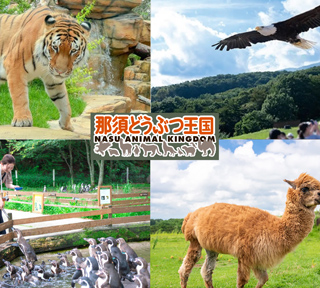 かわいい!楽しい!ふれあえる!那須どうぶつ王国で癒しのふれあい体験&美しい那須の景色を一望!大満足のBBQ食べ放題