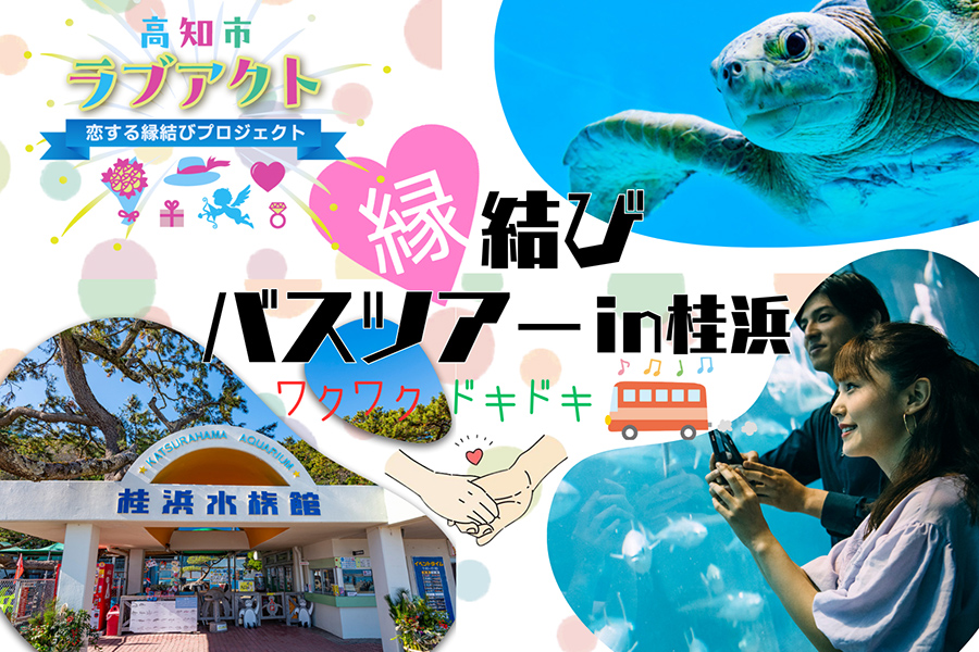 心ほぐれる動物時間♪桂浜水族館で出会う縁結びバスツアー