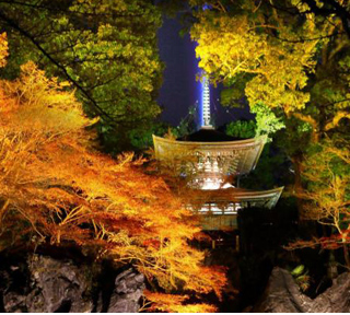 【ハピ旅】錦秋の彩りめぐり！3000本のもみじの競演「日吉大社・もみじ祭」と石山寺ライトアップ「あたら夜もみじ」