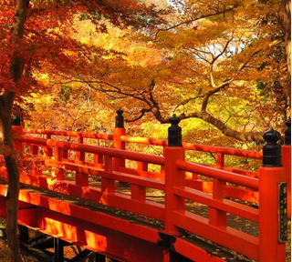 錦秋の天空の城「竹田城跡」を往復専用バス利用で楽々現地案内人と散策＆関西屈指の紅葉スポット！やぶ紅葉まつり