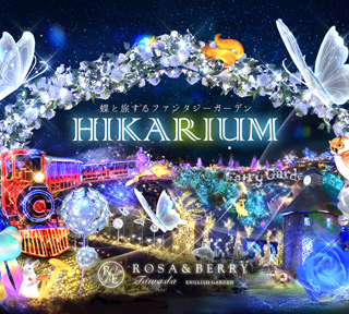 光の感動体験！関西最大級・ローザンベリー光のナイトイベント「HIKARIUM」と長浜レトロな街並散策