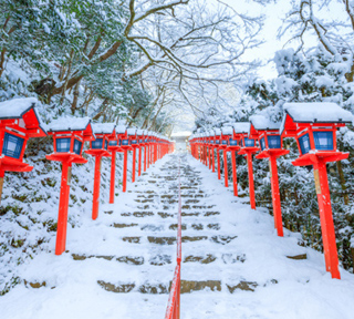 【京都午年最強三社初詣！八坂神社・晴明神社・貴船神社参りと京料理の名店で京懐石料理【A】
