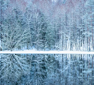 雪化粧の日本一美しい池「御射鹿池」＆横谷渓谷の「氷瀑」鑑賞・諏訪大社初詣