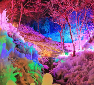 感動体験！冬が造る氷の芸術『あしがくぼの氷柱』ライトアップと冬の名物！長瀞ぽかぽか「こたつ舟」＆ミシュラン・グリーン・ガイド1つ星「寶登山神社」【B】