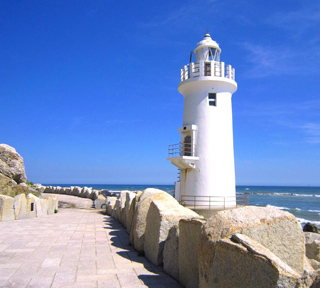 春の風と花に誘われて！渥美半島春の旅！伊良湖菜の花まつり＆いちご狩り食べ放題と恋人の聖地・恋路ヶ浜を散歩