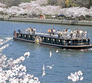 【ハピ旅花見クルーズ】大人の粋なお花見クルーズ！優雅なクルーズ船「ひまわり」をチャーターして大川の桜をお花見遊覧【B】