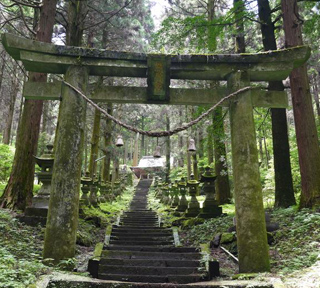 【ハピ旅】異世界すぎる！話題のパワースポット・神秘の世界の入口「上色見熊野座神社」と日本最大級！風薫る癒しの花畑「くじゅう花公園」